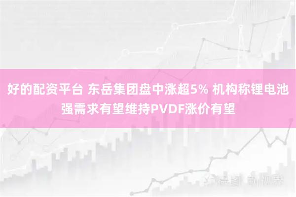 好的配资平台 东岳集团盘中涨超5% 机构称锂电池强需求有望维持PVDF涨价有望