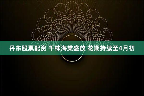 丹东股票配资 千株海棠盛放 花期持续至4月初
