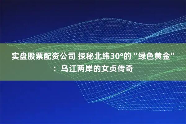 实盘股票配资公司 探秘北纬30°的“绿色黄金”：乌江两岸的女贞传奇